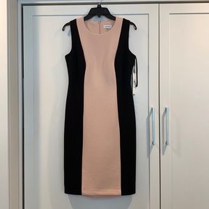 NWT Calvin Klein (Sz 8) Pink + Black Dress